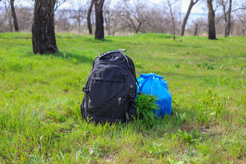 travel backpack on the natural forest background