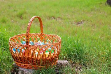 Close up of basket with easter eggs on the green grass background.