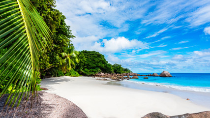 Paradise beach.White sand,turquoise water,palm trees at tropical beach,seychelles 1