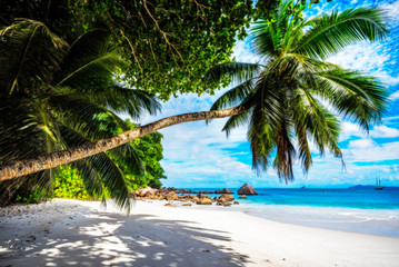 Paradise beach.White sand,turquoise water,palm trees at tropical beach,seychelles