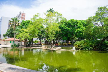 Fototapeta na wymiar A view of Parque Treze de Maio in Boa Vista neighborhood - Recife, Brazil