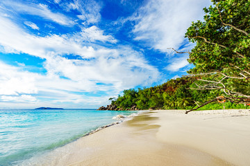 palms,white sand,granite rocks and turquoise water at tropical beach, seychelles 4