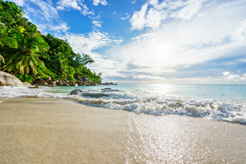 Paradise tropical beach with rocks,palm trees and turquoise water in sunshine, seychelles 34