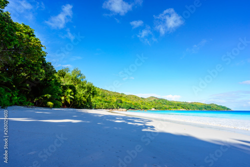 Paradise Beach White Sand Turquoise Water Palm Trees At