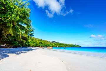 Paradise beach.White sand,turquoise water,palm trees at tropical beach,seychelles 15