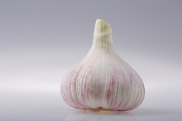 Head of young garlic on a gray background of the subject table.