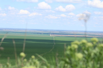 Green meadows and pasture.
