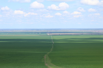 Green meadows and pasture.