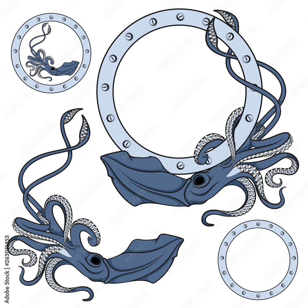 Poster set of color illustrations in blue with squid. isolated vector objects on white background.