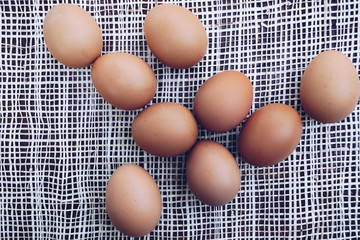 Fresh brown eggs
