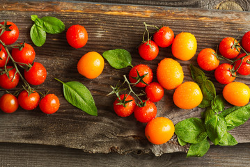 Fototapeta na wymiar Fresh ripe garden tomatoes and basil on wooden table.