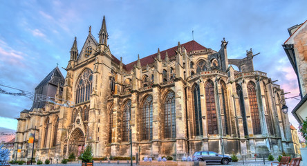 Fototapeta na wymiar Meaux Cathedral in Paris region of France