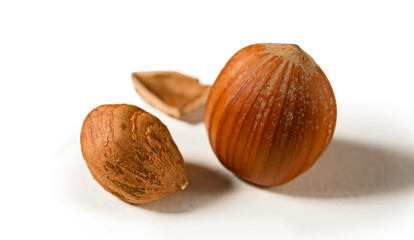 A shelled hazelnut with fragments of its shell around it, isolated on a white background