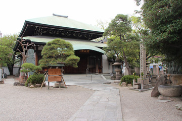 Fototapeta na wymiar buddhist temple (isshin-ji) - osaka - japan