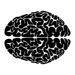 brain vector illustration. human brain