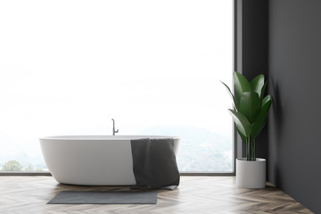 Gray panoramic bathroom with tub