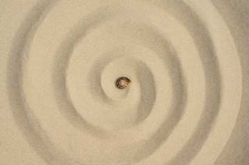 Fototapeta na wymiar Esoterik Sand Spirale und Schneckenhaus - Esotericism sand spiral and snail shell