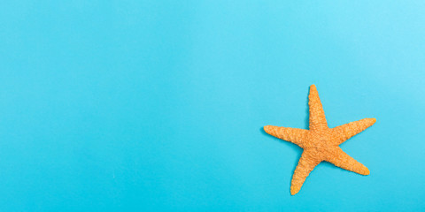 Fototapeta na wymiar A starfish on a blue paper background