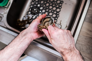 Mains de cuisinier en train d'ouvrir des huîtres
