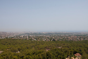 aerial view of the city