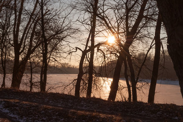 Fototapeta premium Frost river with snowand naked trees. Winter sunset in warm brown colors 