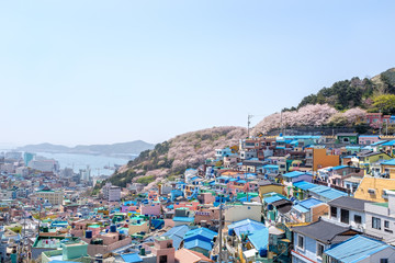 甘村文化村・韓国のマチュピチュ