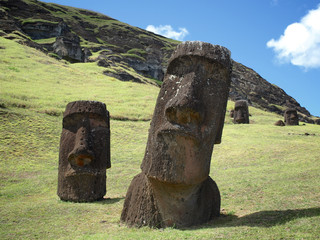 Moai, Stone Head Sculpture in Rapa Nui, Easter Island, Chile.