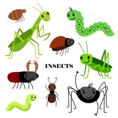 Illustration of vector crawling insects isolated on white background. Insect bug, fauna wildlife, cartoon crawl insects illustration © ssstocker