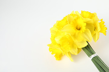 Bouquet of daffodils on white background, top view. Fresh spring flowers