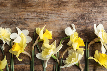 Flat lay composition with daffodils and space for text on wooden background. Fresh spring flowers