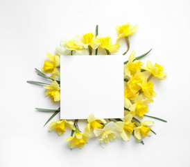 Beautiful daffodils and card on white background, top view with space for text. Fresh spring flowers