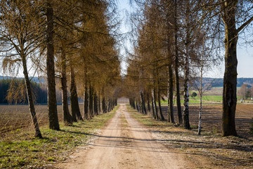 Cmentarz muzułmański - mizar w Bohonikach, Polska, Podlasie © podlaski49