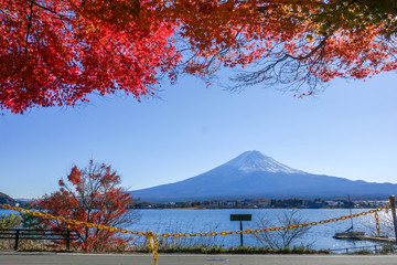Autumn Season Fuji  Mountain at Kawaguchiko lake, Japan.
