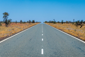 Long empty road with symmetric markings in Australia leading through savanna landscape touching the horizon