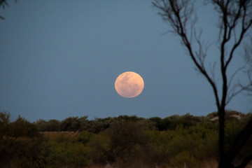 Moon rising over the horizon in Exmouth Australia during blue hour