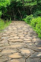 Stone walk way go to the forest at thailand