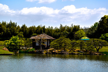 Fototapeta na wymiar Japan garden 
