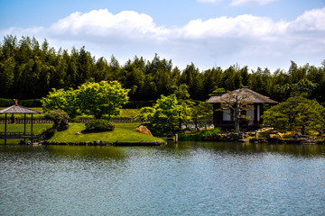 Fototapeta na wymiar Japan garden 