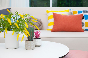 cactus and flower vase on white table in colorful living room. 