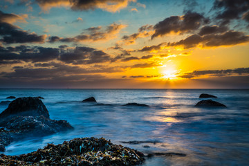 Obraz premium South Side seascape morning light.