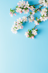Blooming spring sakura on a blue background with space for a greeting message. The concept of spring and mother's day. Beautiful delicate pink cherry flowers in springtime
