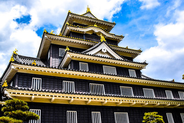 Fototapeta premium Castle and garden in japan