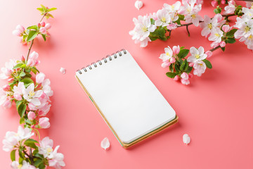 Blooming spring sakura on a pink background with notepad space for greeting message. The concept of spring and mother's day. Beautiful delicate pink cherry flowers in springtime