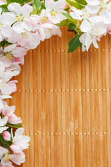 Frame of spring flowers of sakura on bamboo background. Beautiful cherry blossom sakura in springtime