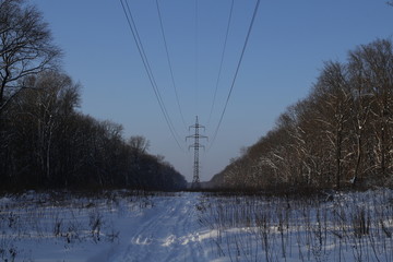 The power line transmits electricity