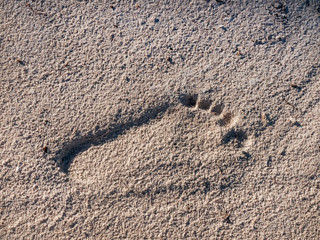Some sand showing an imprint of the left foot. 