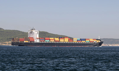 Container ship carrying goods
