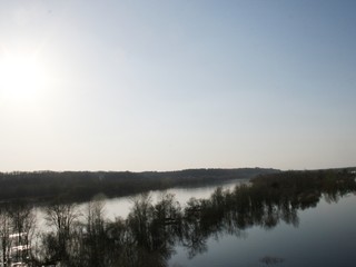 Fototapeta premium Sunset in the summer forest