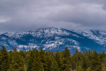 Snow covered mountain with evergreen forest