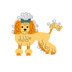 Vector illustration of poodle dog in hand drawn sketch style. Flat and line design element isolated on white background.